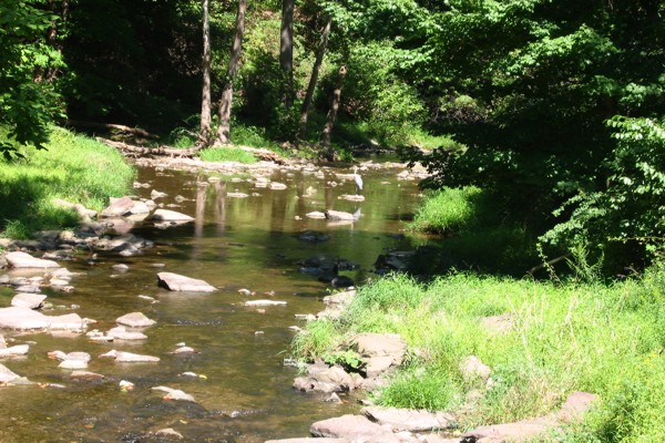 ../image/joan's reunion,nj,vermont 9,2005 010.jpg